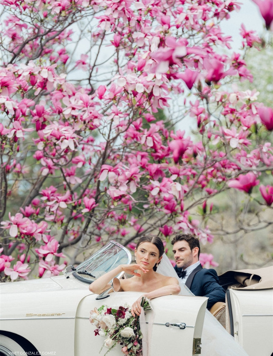 How REFINED Co Presets Can Help You Edit A Variety of Colors In One Image